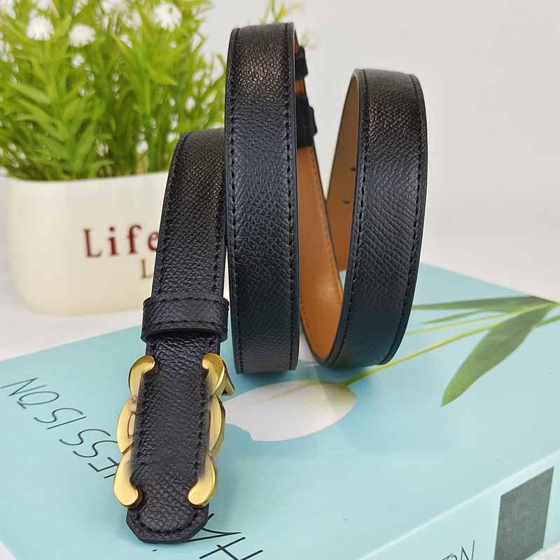 Women's New Fashion Joker High Quality Adjustable Length Design Metal Decorative Belt Belt.